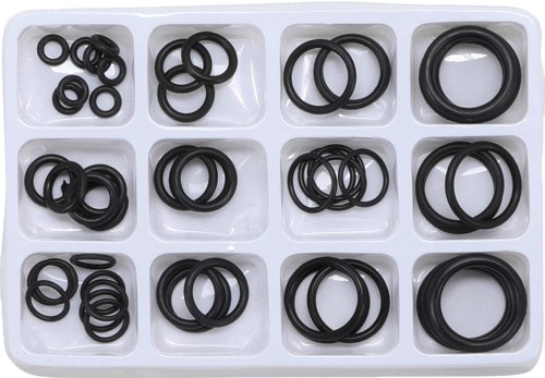 Kit O-RING Anillo Goma Ø5-20MM 50PZ 8131 Bgs